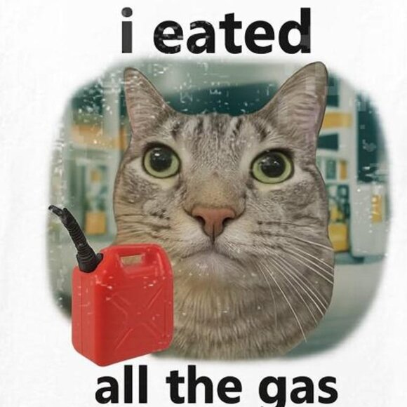 I Eated All The Gas Cat Funny Shirt, Unhinged Weird Cat Tshirt, Humor Animal 99 - Picture 2 of 5